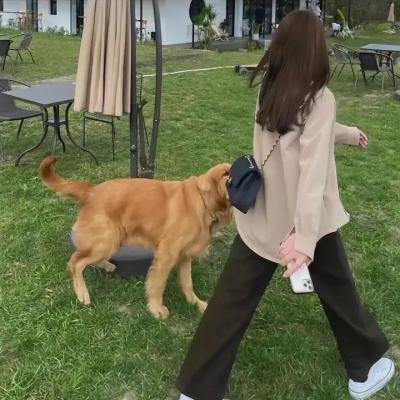 西部之路